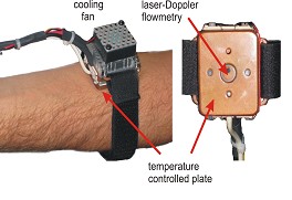 Endotheliometer.jpg